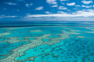 Learn about the Great Barrier Reef