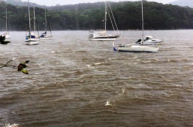 Mooring audit to keep NSW waterways safe