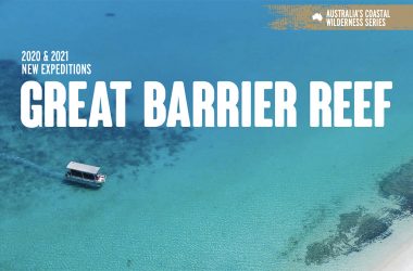 Coral Expeditions to restart on the Great Barrier Reef