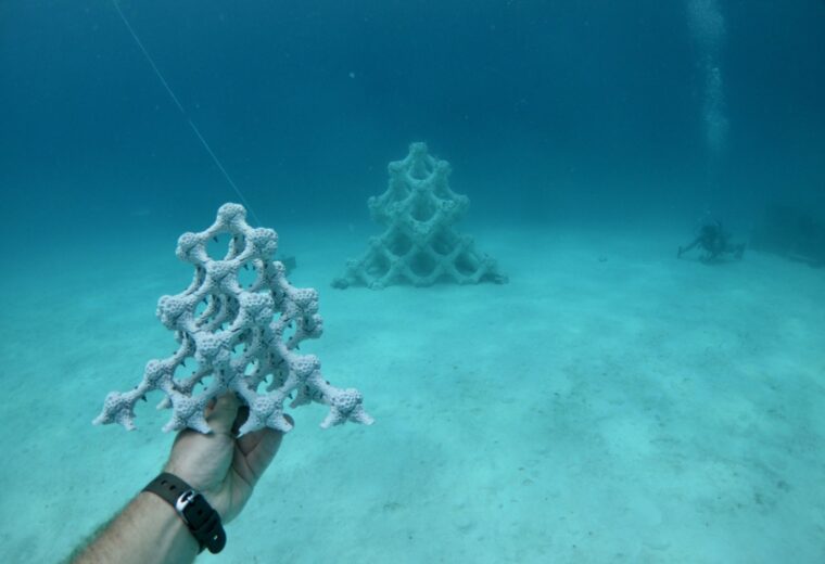 ATL Composites Helps Reef Design Labs Restore Reefs